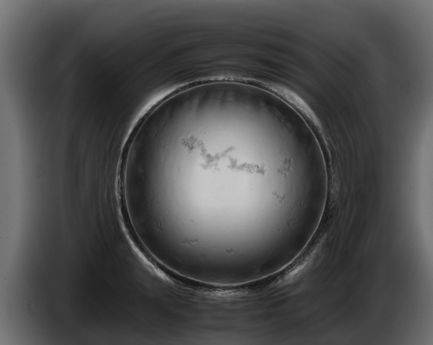 X0000085750847200703231130