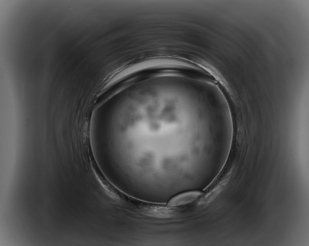 X0000085750849200703231130