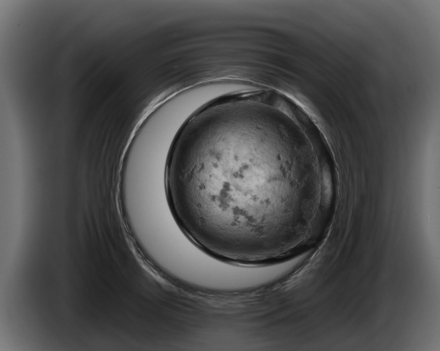 X0000085750850200703231130