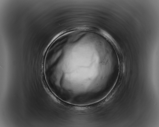 X0000085750852200703231130