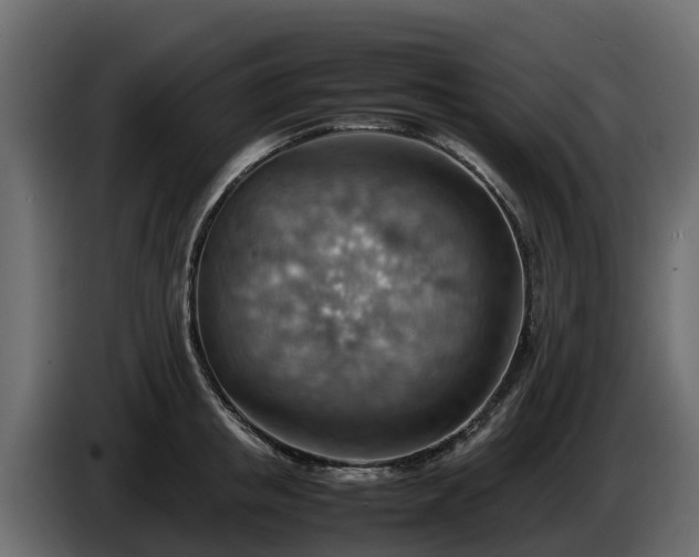 X0000085750853200703231130