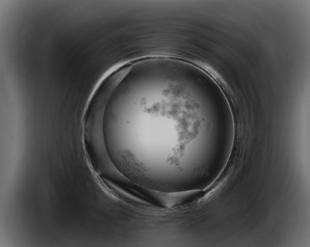 X0000085750854200703231130