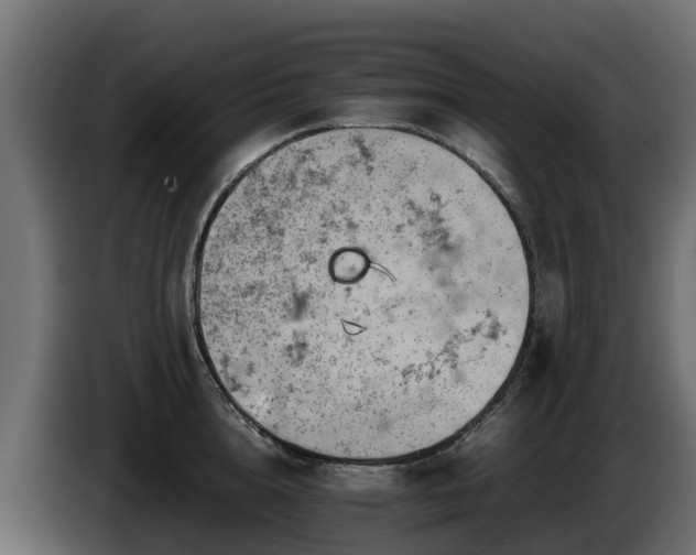 X0000085750856200703231130