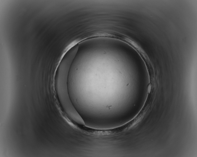 X0000085750858200703231130