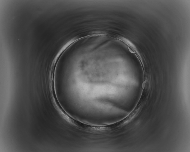 X0000085750859200703231130
