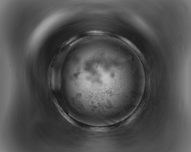 X0000085750862200703231131