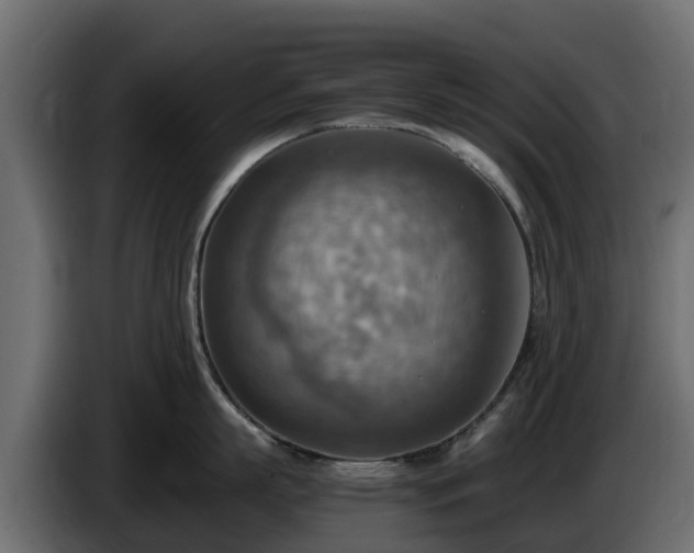 X0000085750863200703231131