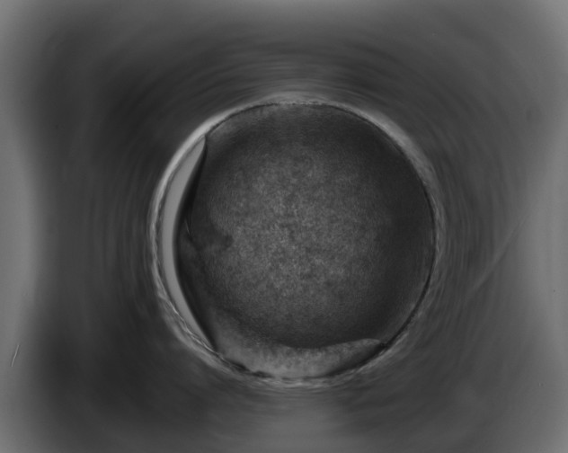 X0000085750864200703231131