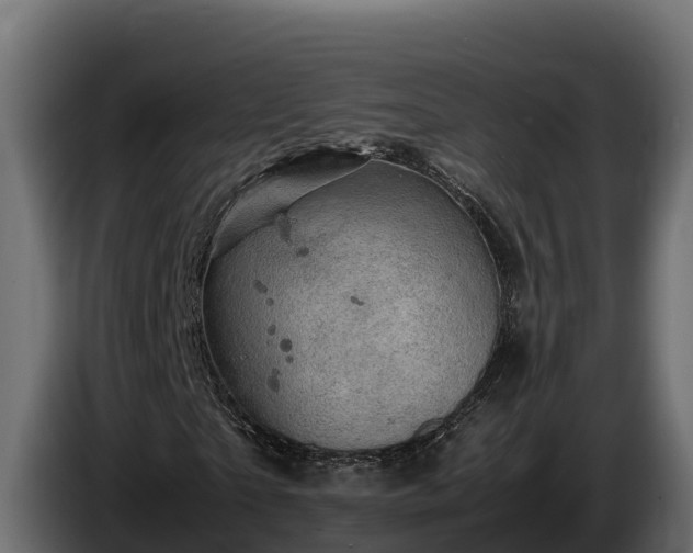 X0000085750865200703231130