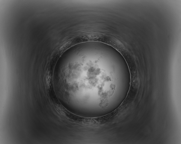 X0000085750866200703231130