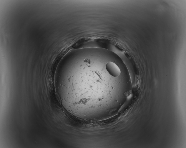 X0000085750867200703231130