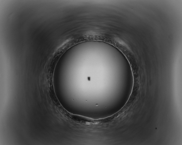 X0000085750870200703231130