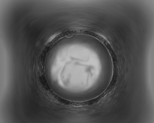 X0000085750871200703231130