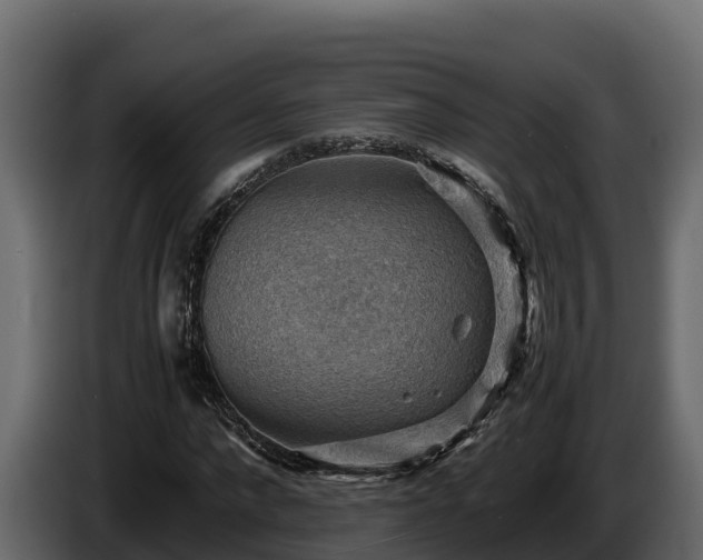 X0000085750872200703231130