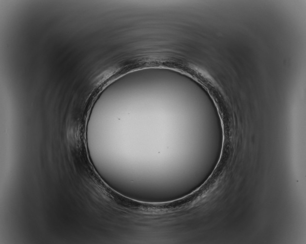 X0000085750873200703231130