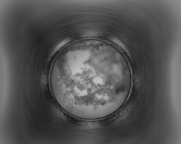 X0000085750874200703231130