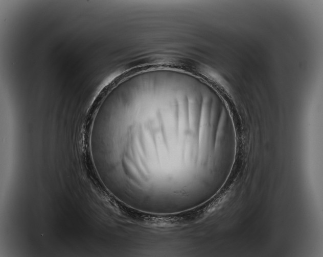 X0000085750875200703231130