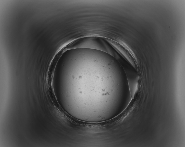 X0000085750876200703231130