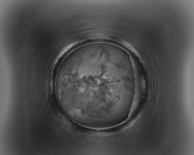 X0000085750877200703231130