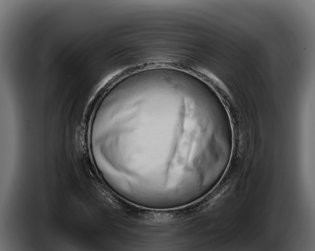 X0000085750878200703231130