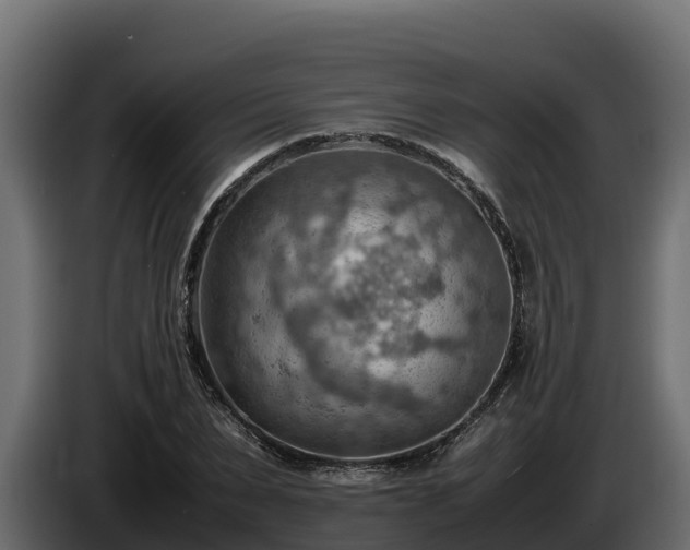 X0000085750879200703231130