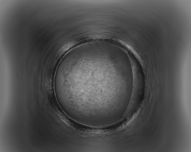 X0000085750881200703231130