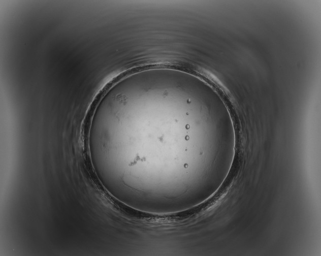 X0000085750883200703231130