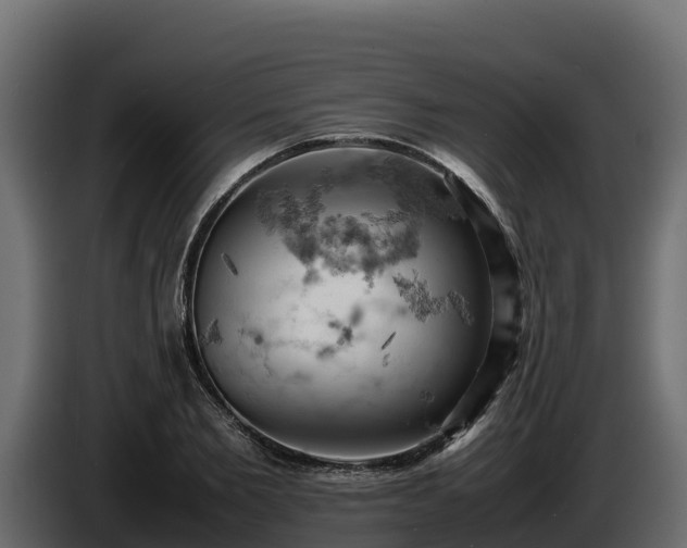 X0000085750885200703231130