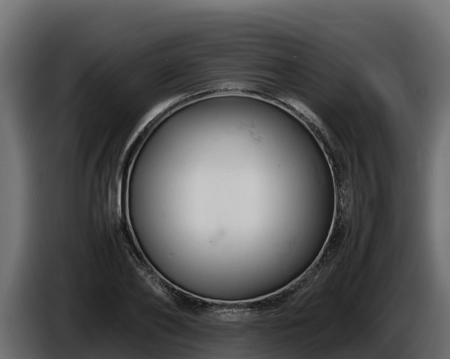 X0000085750886200703231130