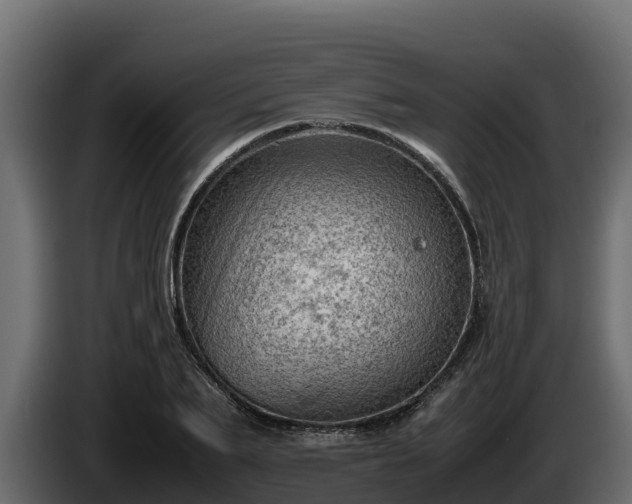 X0000085750887200703231130