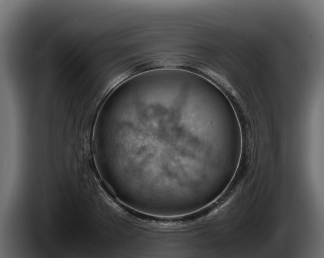 X0000085750889200703231130
