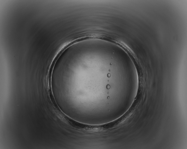 X0000085750891200703231129