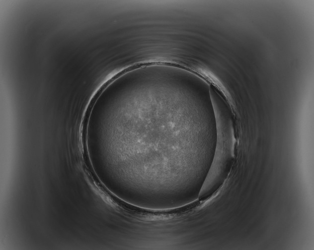X0000085750892200703231129