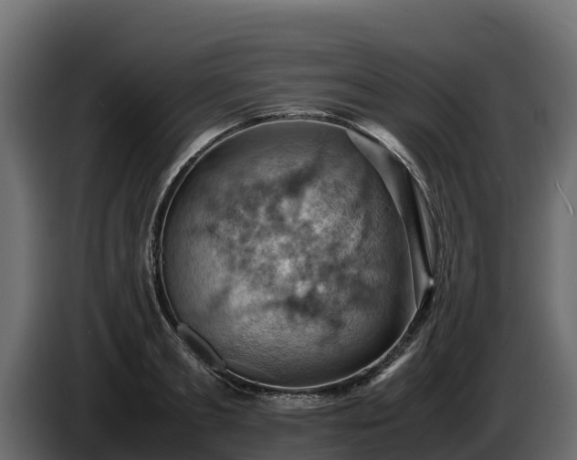 X0000085750893200703231129