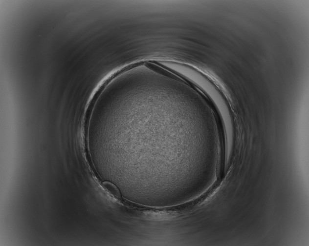 X0000085750896200703231129