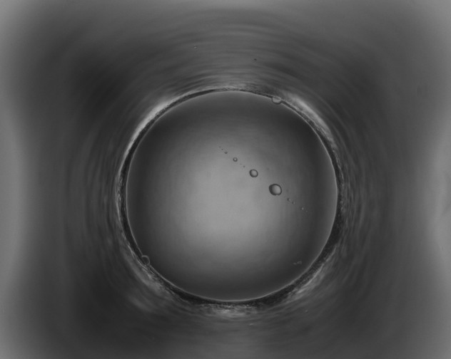 X0000085750899200703231129
