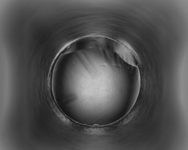 X0000085750900200703231129