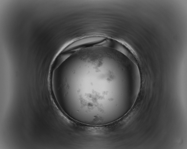 X0000085750902200703231129