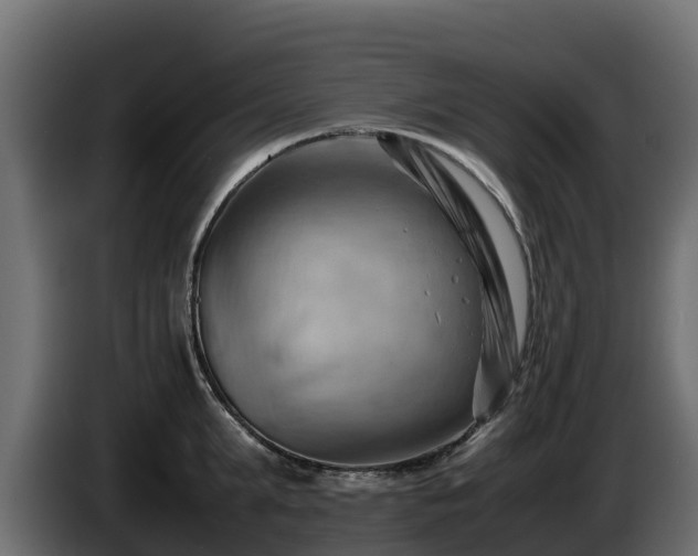 X0000085750903200703231129