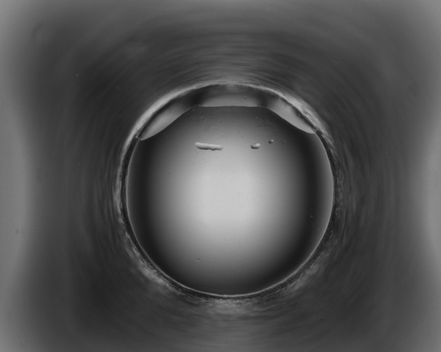 X0000085750904200703231129