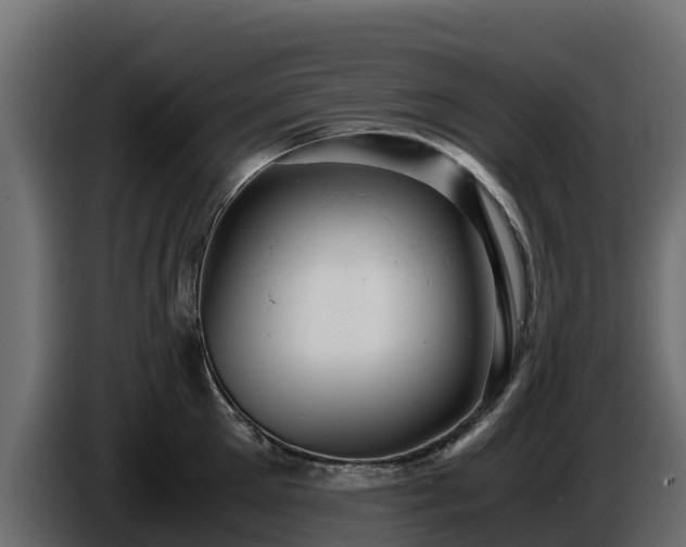 X0000085750905200703231129