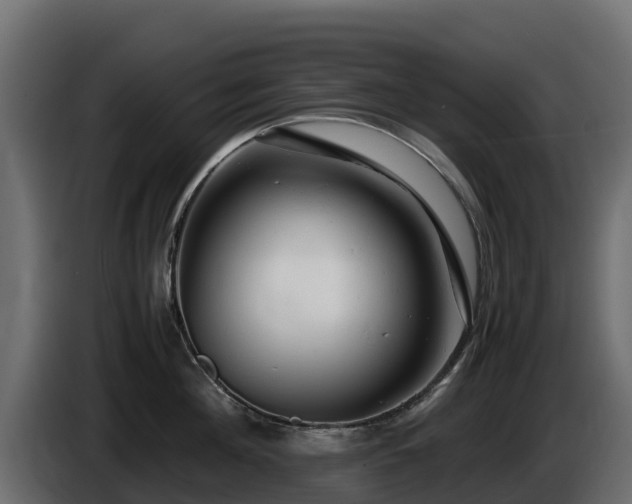 X0000085750908200703231129