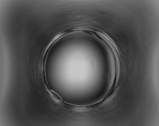X0000085750909200703231129