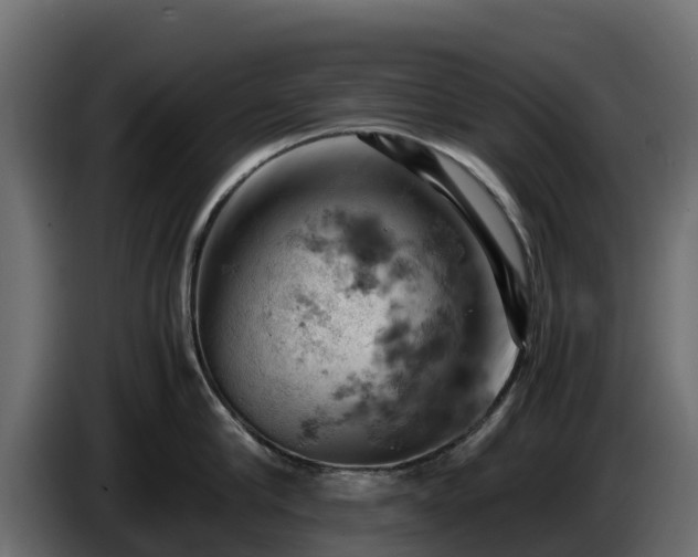 X0000085750910200703231129