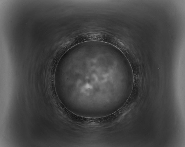X0000085750913200703231129