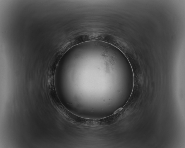 X0000085750914200703231129