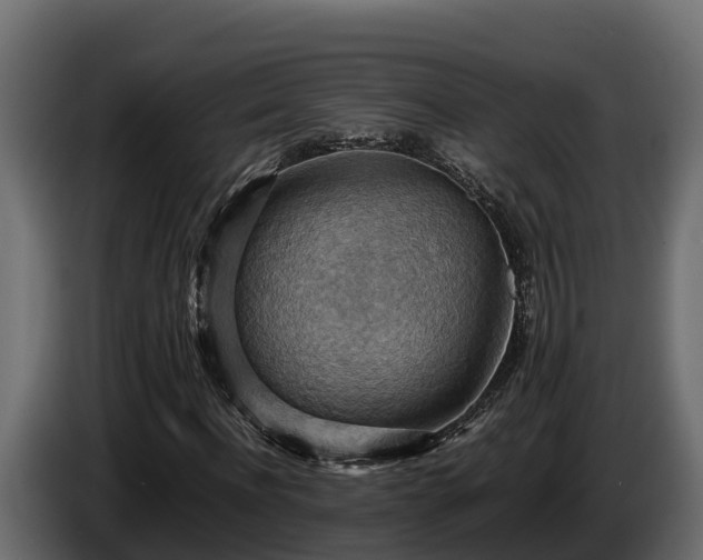 X0000085750916200703231129