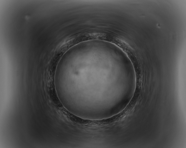 X0000085750917200703231129