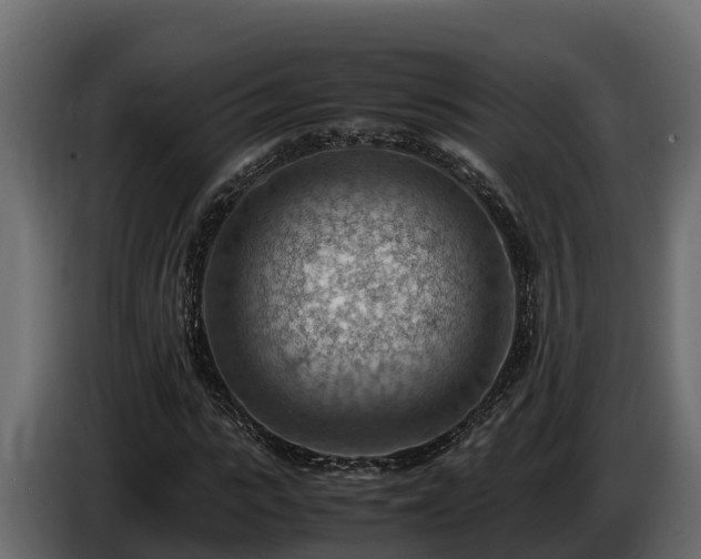 X0000085750919200703231129