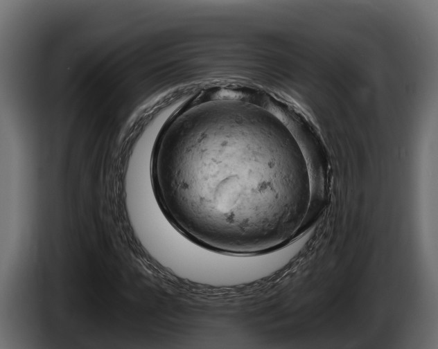X0000085750920200703231129